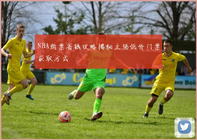 NBA购票省钱攻略揭秘主场低价门票获取方式