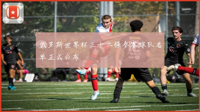 俄罗斯世界杯三十二强参赛球队名单正式公布