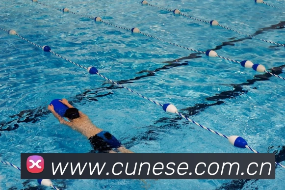 App Interface Preview